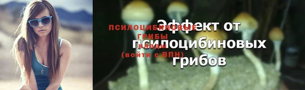 эйфоретик Алексеевка